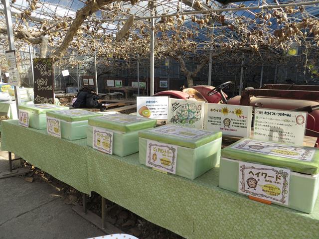 �L�E�C�t���[�c�~5